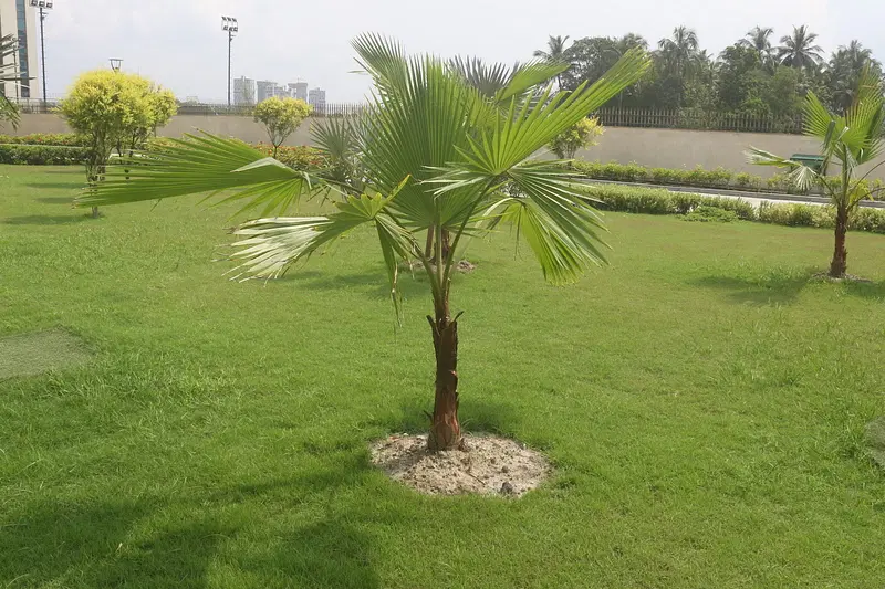 Amity University Kolkata Campus photo 2